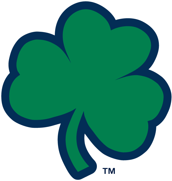 Notre Dame Fighting Irish 1994-Pres Alternate Logo v6 diy DTF decal sticker